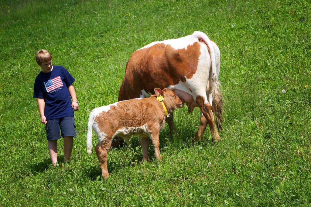 Farm Stay Pirc Ласко Экстерьер фото