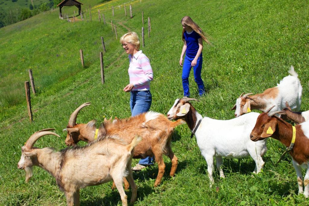 Farm Stay Pirc Ласко Экстерьер фото